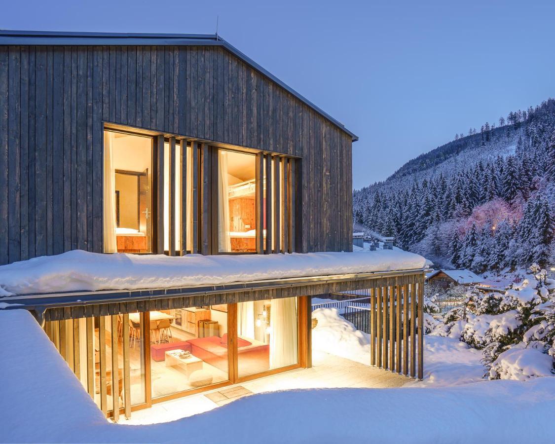 Max Relax Summercard Included Ski In-Ski Out Zell am See Exterior foto